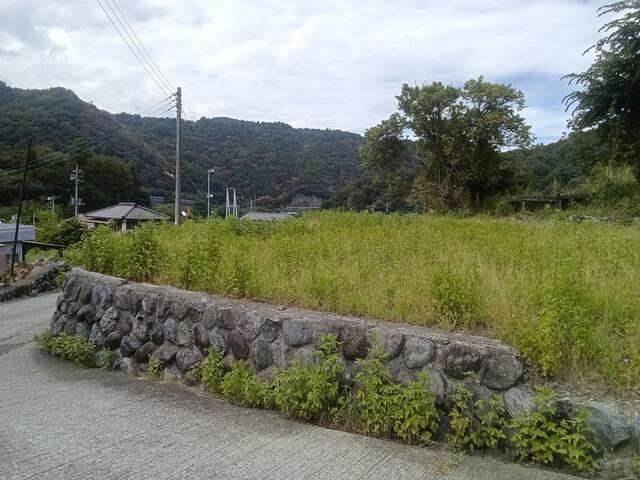 現地土地