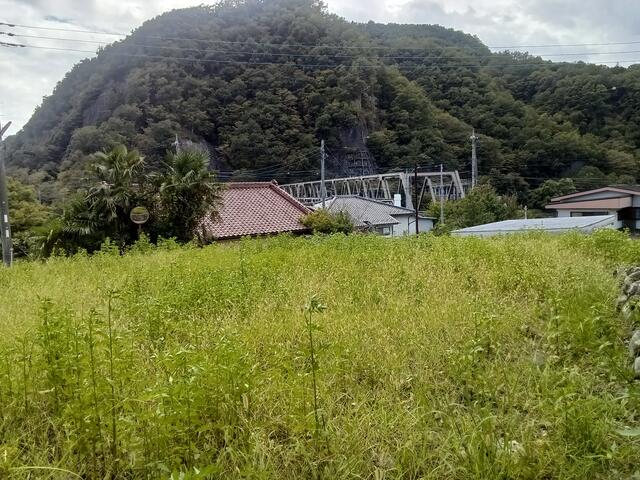 現地土地