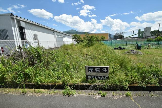 現地土地