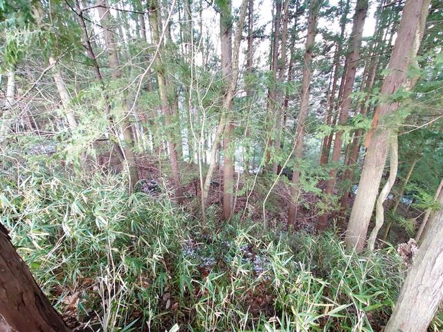 ハトマークサイト】山梨県山梨市牧丘町西保下の 売地