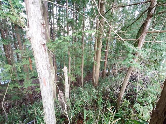 ハトマークサイト】山梨県山梨市牧丘町西保下の 売地