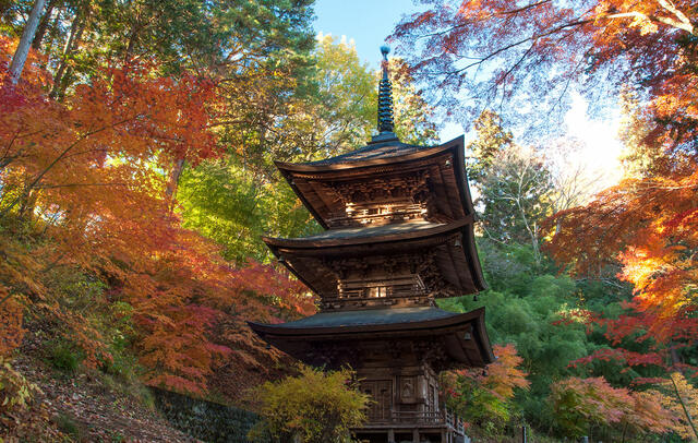 安養寺 (1,371m)