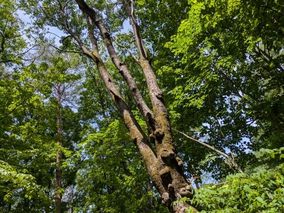 detached 長野県上水内郡信濃町大字野尻 地図を見る