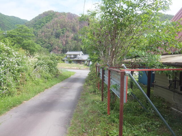 西側道路／撮影日2026-05-31