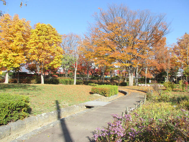 美和公園 (812m)