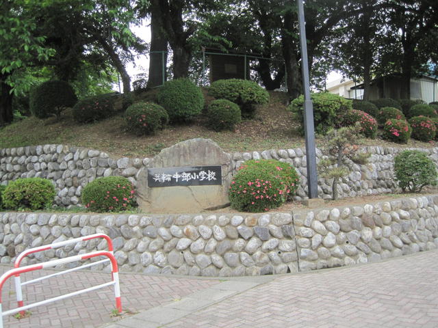 町立箕輪中部小学校 (267m)