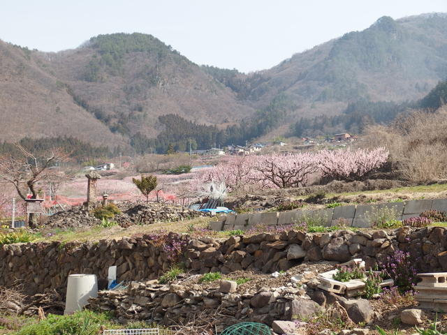 detached 長野県長野市松代町東条 地図を見る
