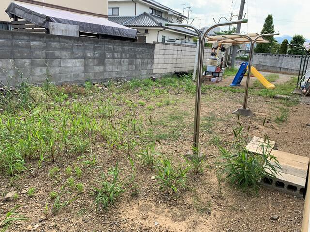 庭