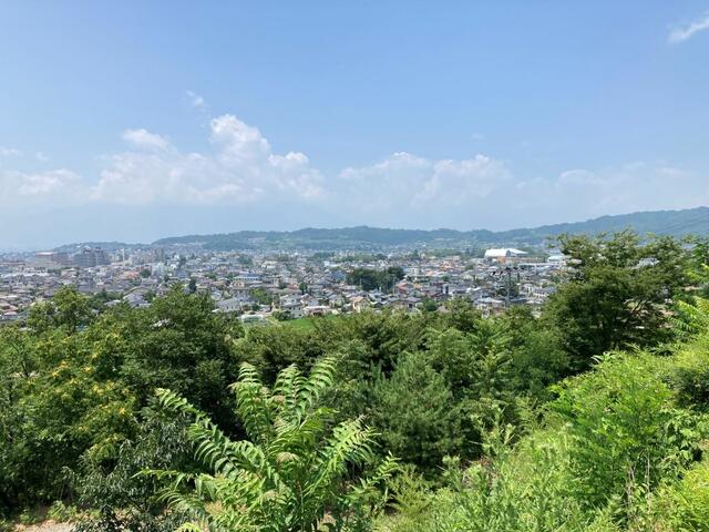 現地からの眺望