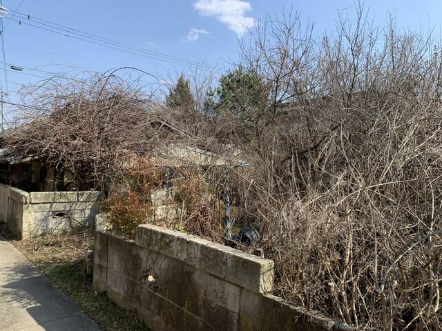現地土地／撮影日2025-03-23
