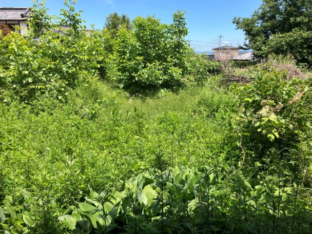 detached 長野県東筑摩郡山形村中大池 地図を見る
