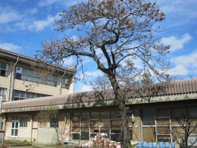 長野市立通明小学校 (603m)