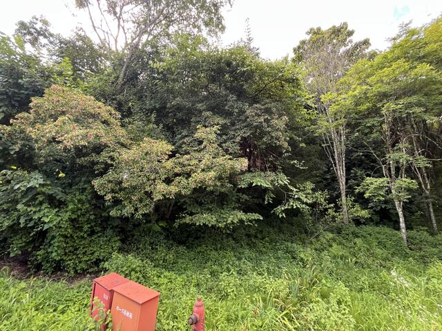 detached 長野県長野市信州新町山上条 地図を見る