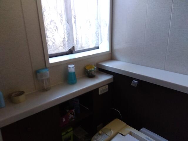 detached 長野県下伊那郡大鹿村大字鹿塩