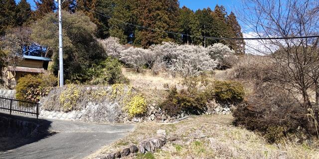 detached 長野県上伊那郡中川村大草