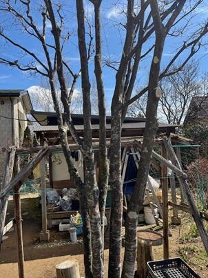 detached 長野県上伊那郡飯島町七久保