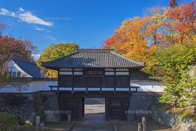 小諸城懐古園 (7,600m)