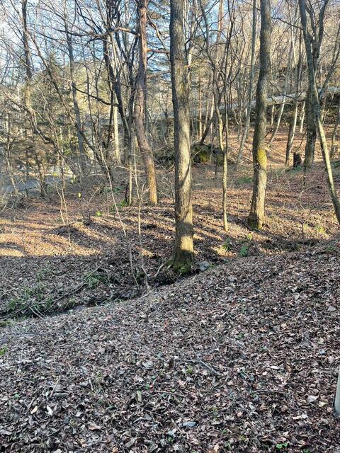 detached 長野県北佐久郡軽井沢町大字発地 地図を見る