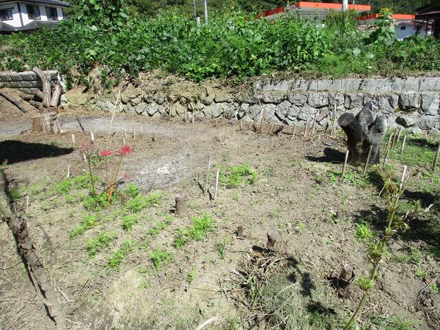detached 長野県長野市中条住良木 地図を見る