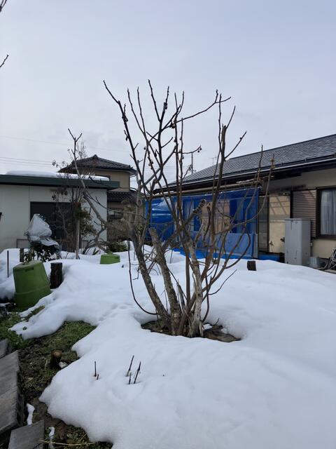 detached 長野県中野市大字七瀬