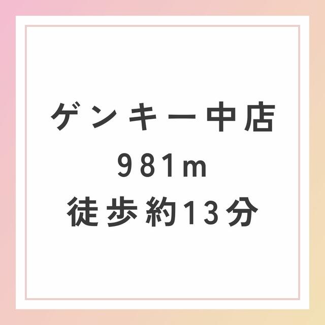 ゲンキー中店 (981m)