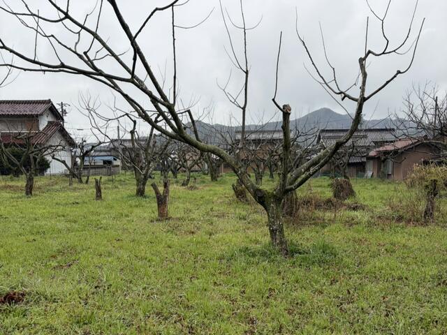 detached 岐阜県山県市大桑 地図を見る