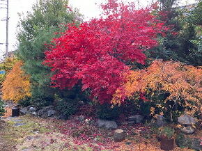 detached 岐阜県揖斐郡大野町大字相羽 地図を見る