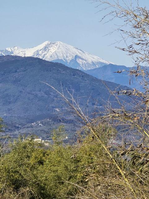 detached 岐阜県恵那市三郷町野井