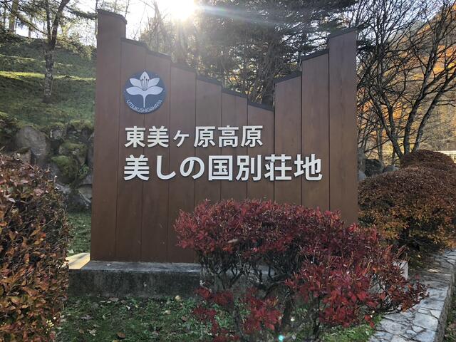 撮影日2024-11-15