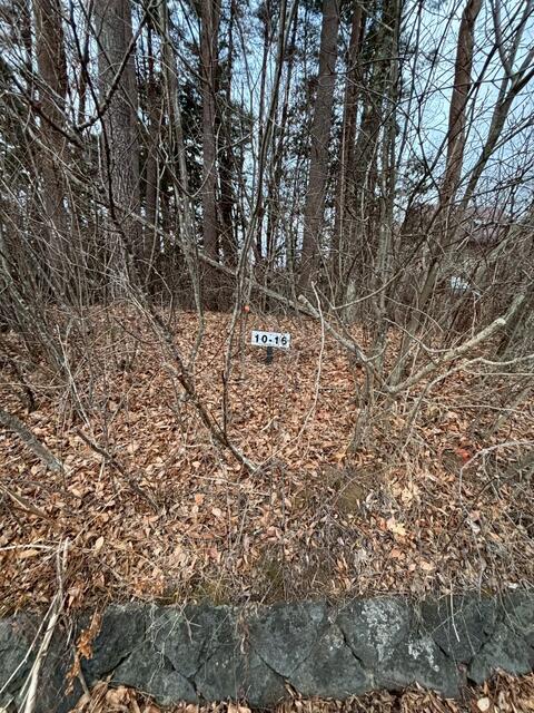 現地土地