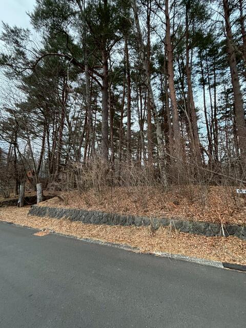 現地土地