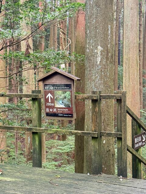 河津七滝めぐり猿田淵♪