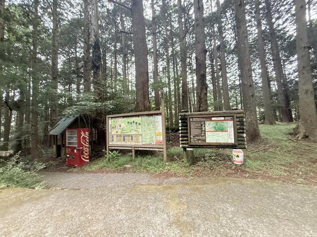 踊り子遊歩道案内図♪