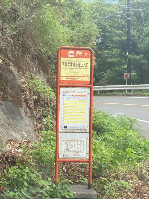 河津七滝遊歩道入口徒歩１６分♪ (1,000m)