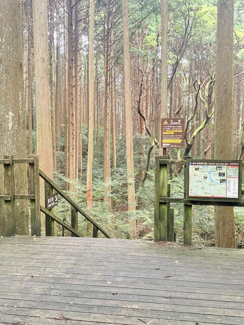川底にまで露出し磨き上げられた溶岩が滑らかな渓流を作りだしています♪ (440m)