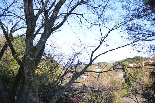detached 静岡県田方郡函南町平井 地図を見る