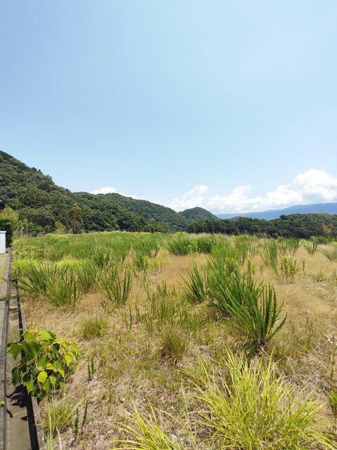 現地土地／空と山しか見えません
