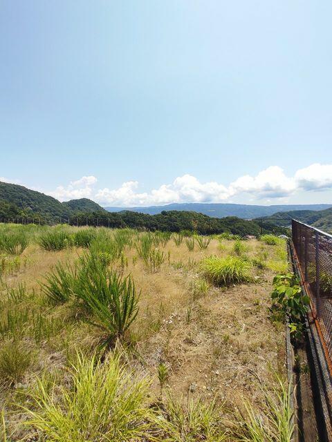現地土地／この景色　この土地最大の特権です