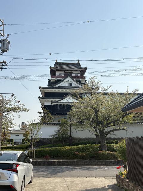 清洲城 (62m)