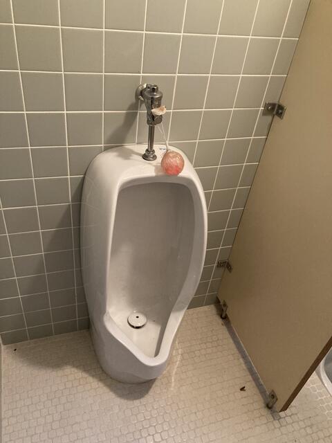 detached 愛知県蒲郡市大塚町山ノ沢 地図を見る