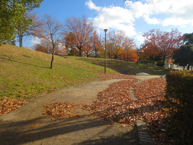 通曲公園 (797m)