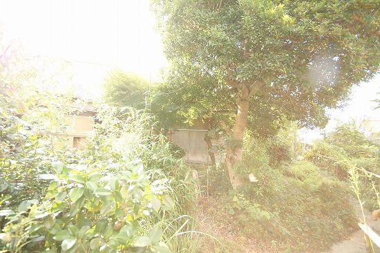 detached 愛知県田原市やぐま台