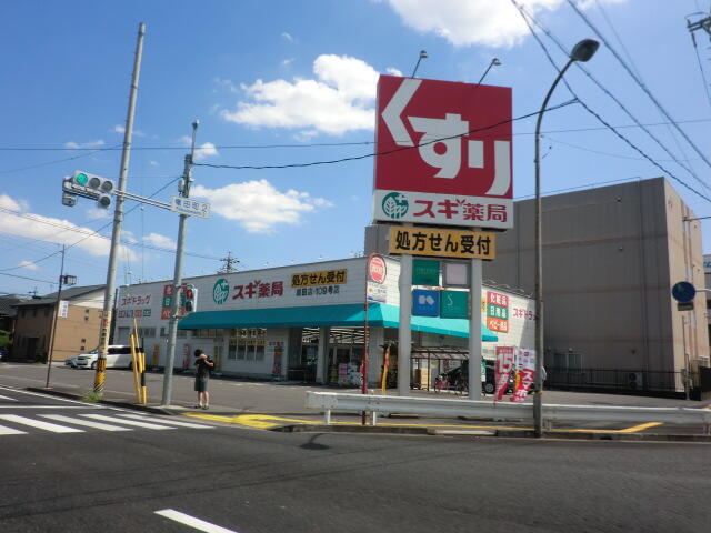 ドラッグストア　スギ薬局鶴田店 (690m)