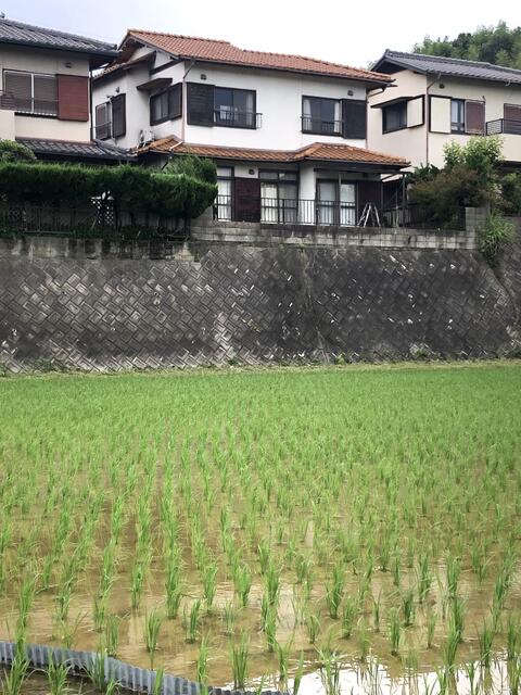 detached 愛知県知多市佐布里字東脇口