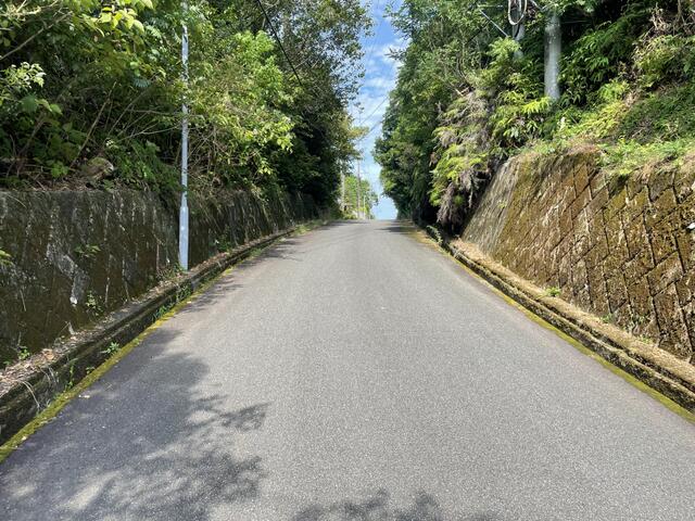 現地土地／撮影日2025-08-26