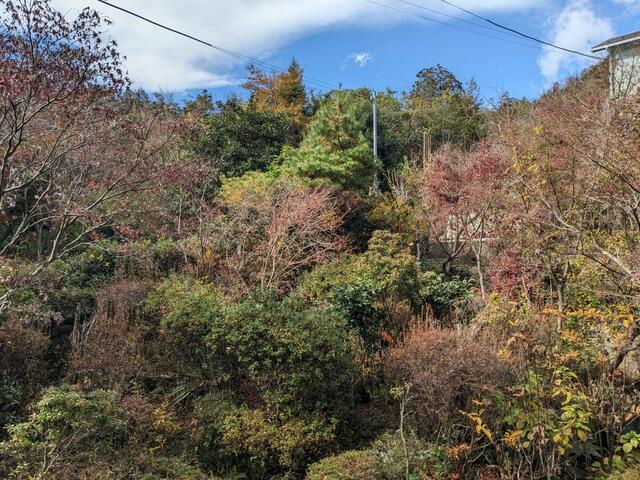 detached 滋賀県湖南市サイドタウン４丁目