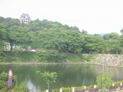 彦根城 (1,242m)