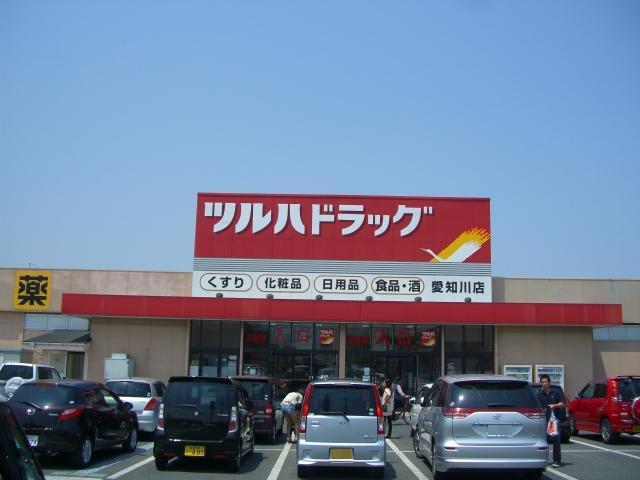 ツルハドラッグ愛知川店 (728m)