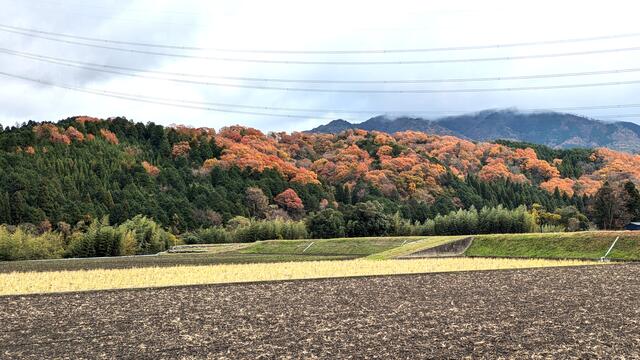 detached 滋賀県東近江市甲津畑町