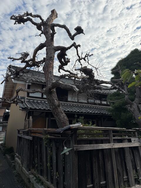 detached 滋賀県彦根市日夏町 地図を見る